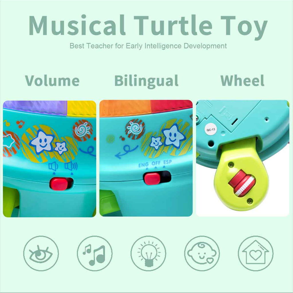 Musical Turtle Toy English & Spanish Learning with Lights and Sounds